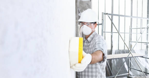 Best Basement Mold Removal  in Gordon, GA