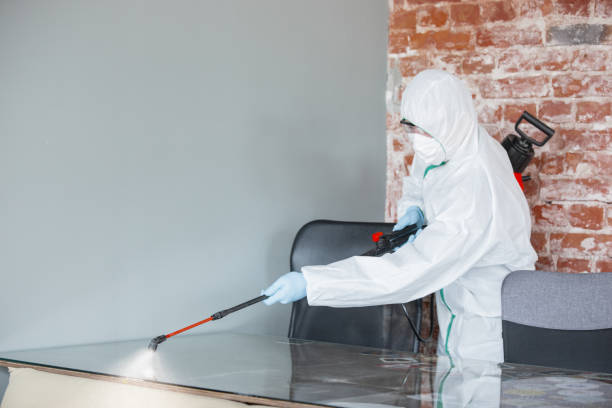  Gordon, GA Mold Removal & Remediation Pros