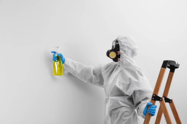 Best Industrial Mold Remediation  in Gordon, GA